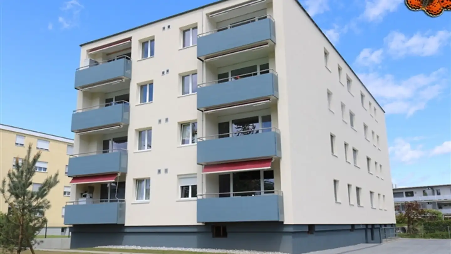 Appartement à louer - Champ Olivier 27, 3280 Murten - Photo 2