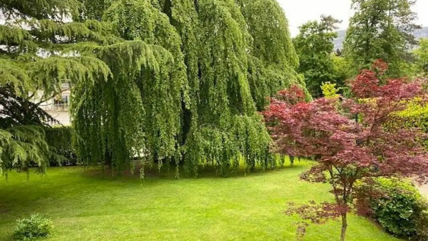 Appartamento in vendita - Chemin Jean- Achard 5, 1231 Conches - Photo 2