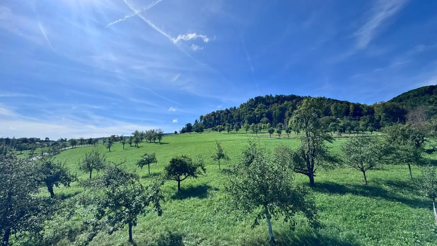 Dachgeschosswohnung mieten - Leimengasse 8, 4413 Büren SO - Foto 2