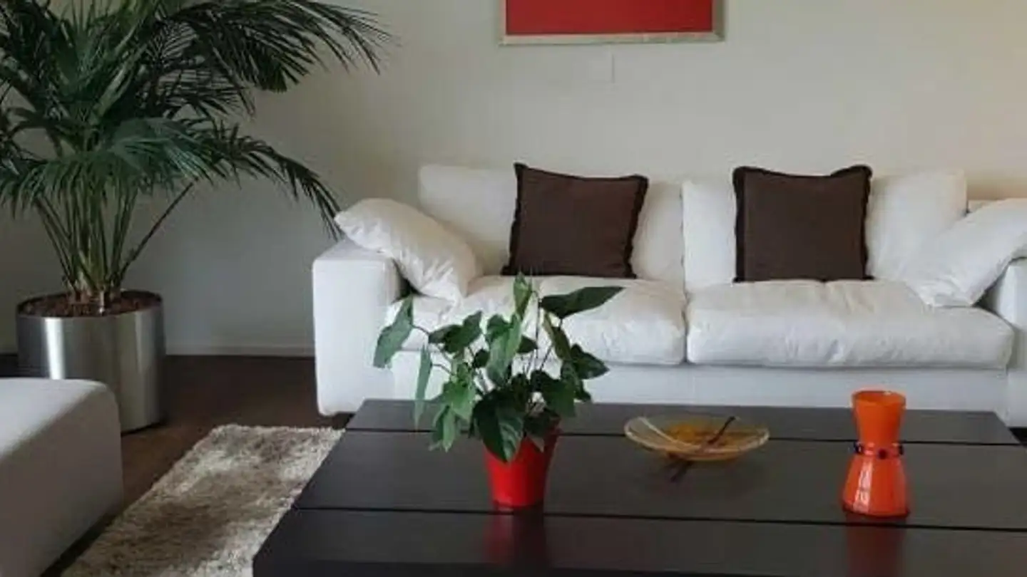 Duplex in affitto - 8832 Wilen b. Wollerau - Foto 4
