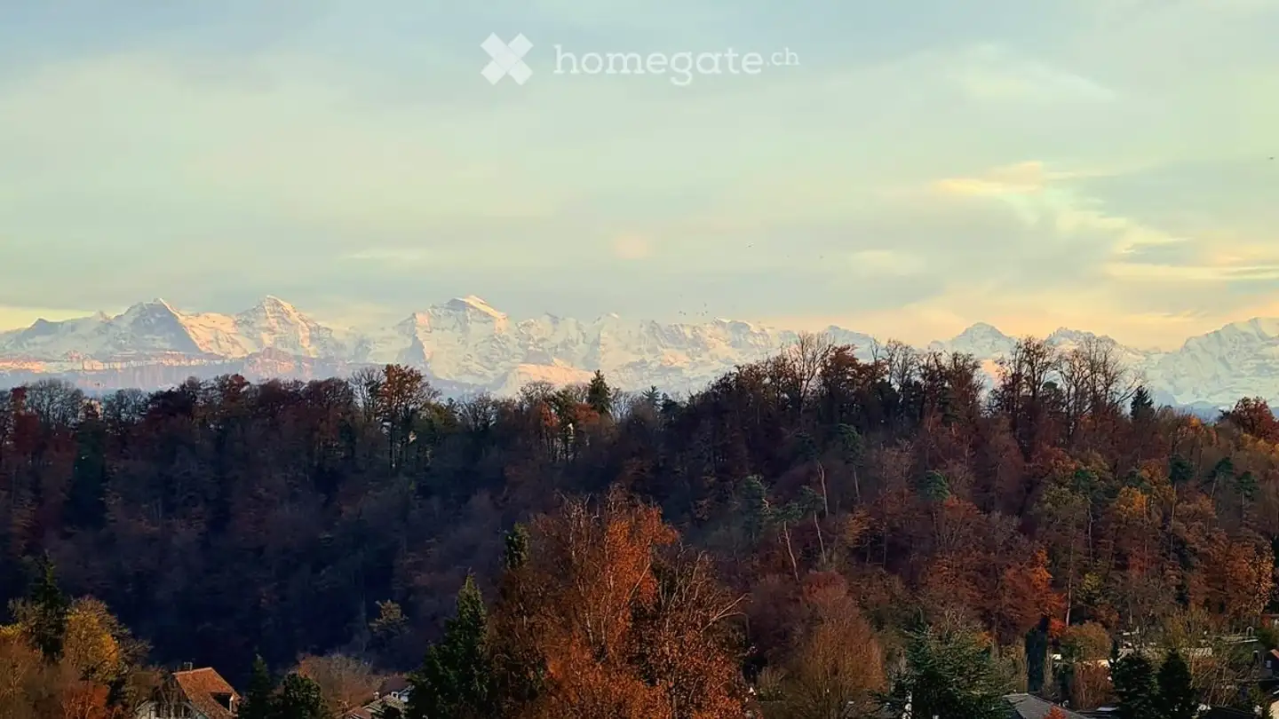 Apartment for rent - 3047 Bremgarten b. Bern - Photo 3