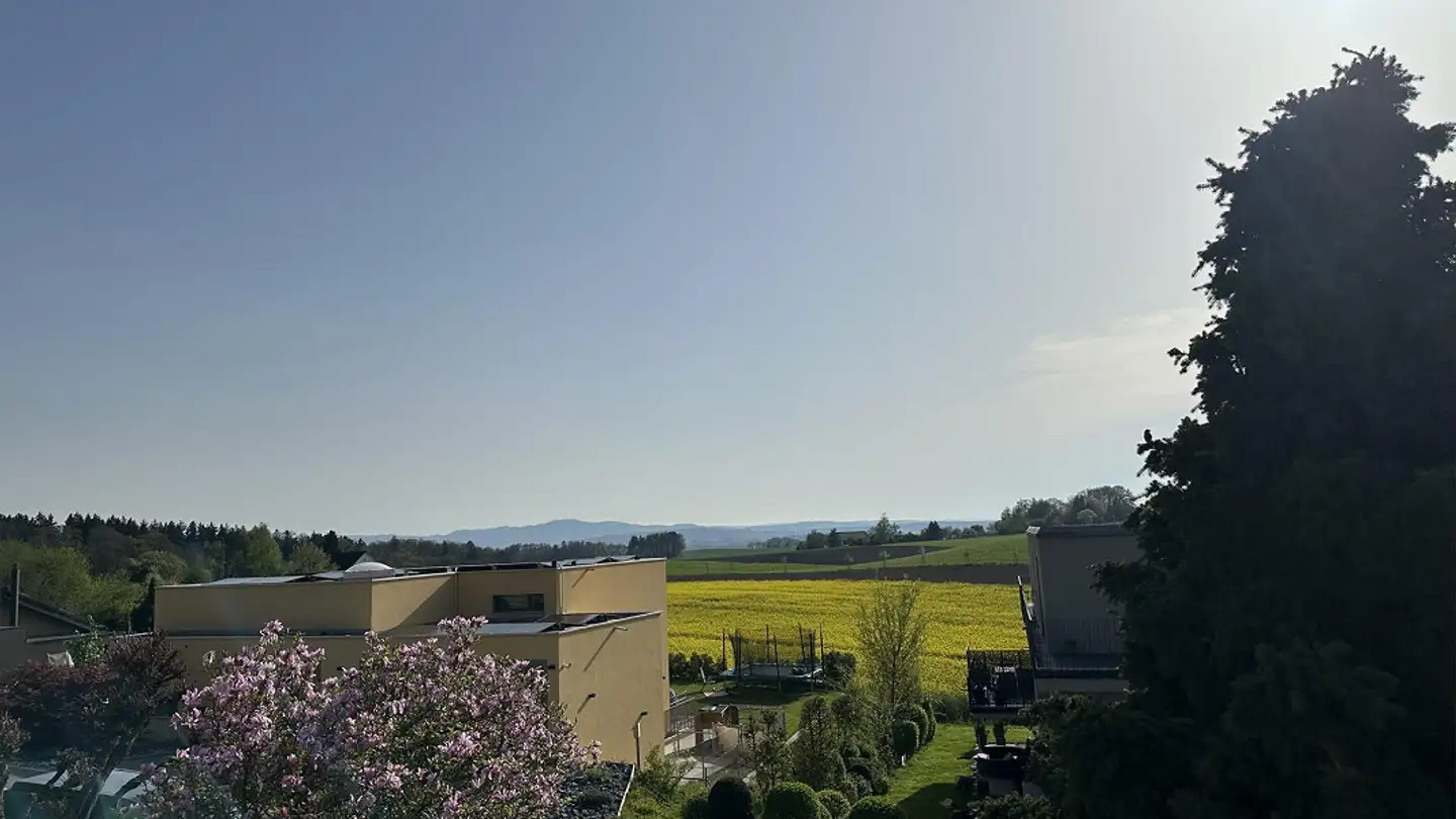 Maison individuelle à vendre - Augwilerstrasse 23, 8426 Lufingen - Photo 2