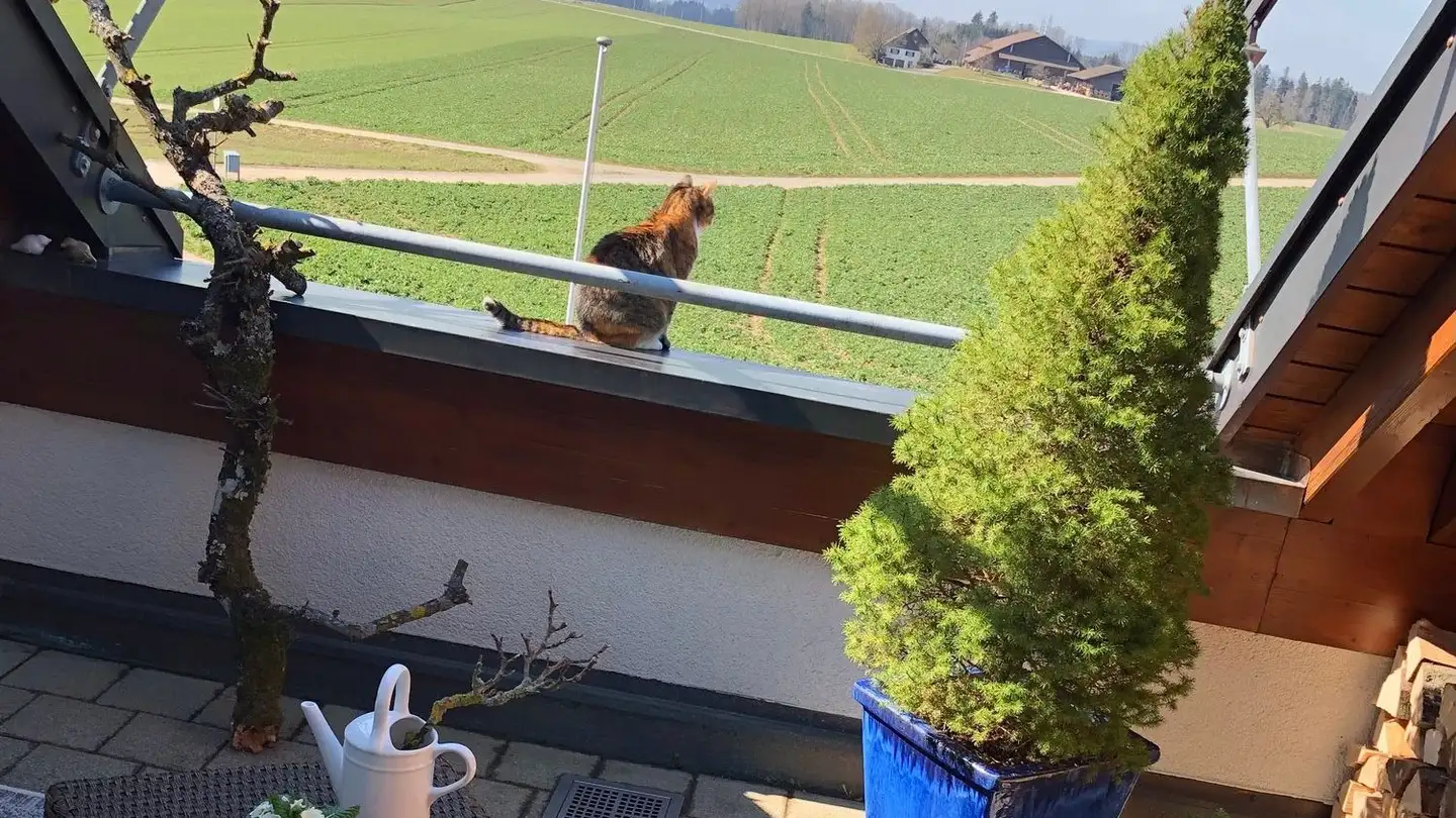 Duplex à louer - Zelglistrasse 25, 8311 Brütten - Photo 2