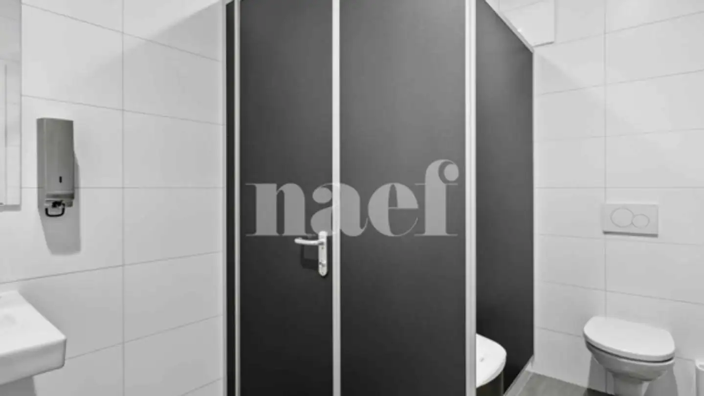 Edificio ad uso misto in affitto - Rue De Neuchâtel 24, 2022 Bevaix - Photo 2