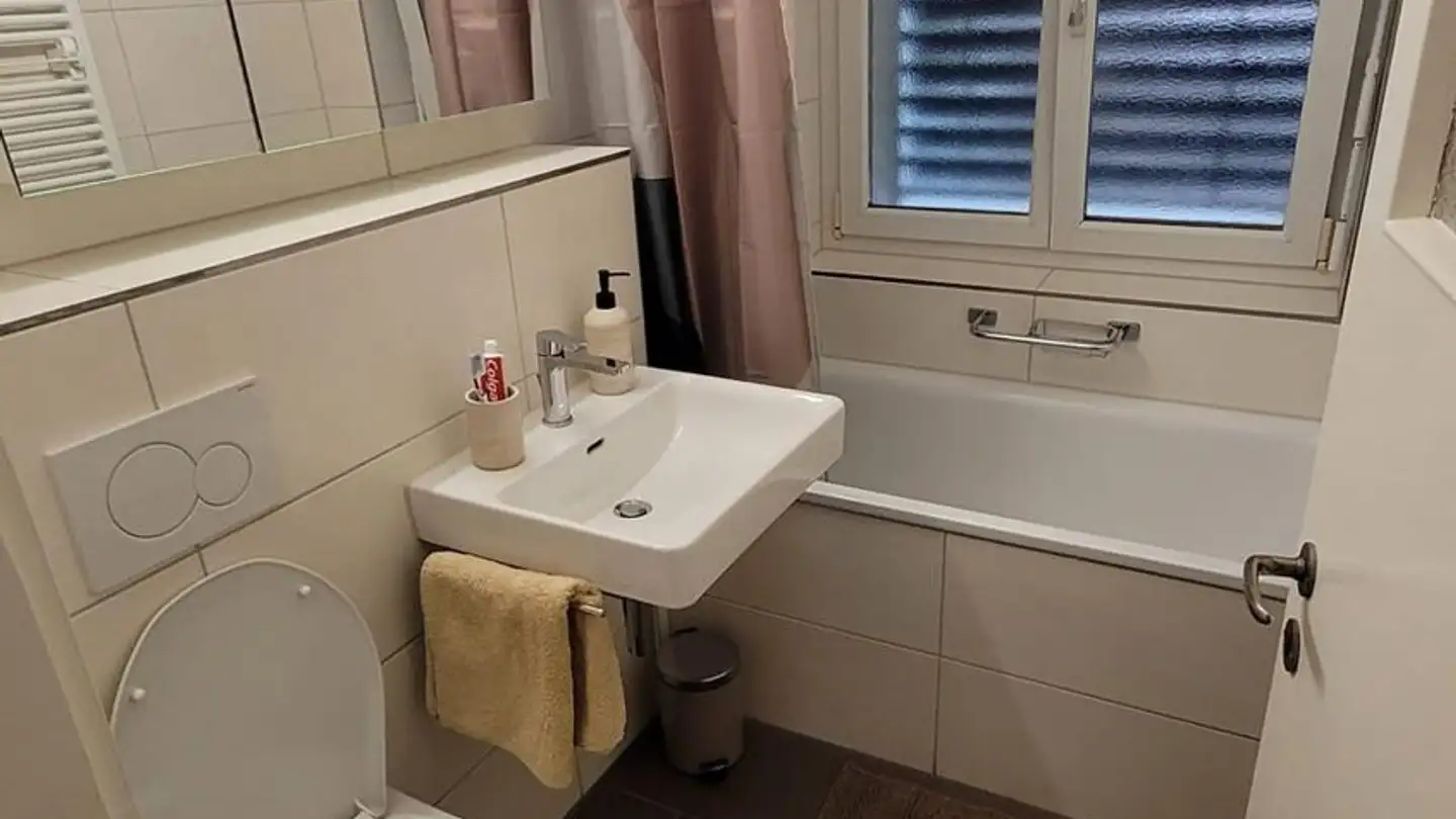 Appartamento in affitto - Üetlibergstrasse 44, 8045 Zürich - Foto 3