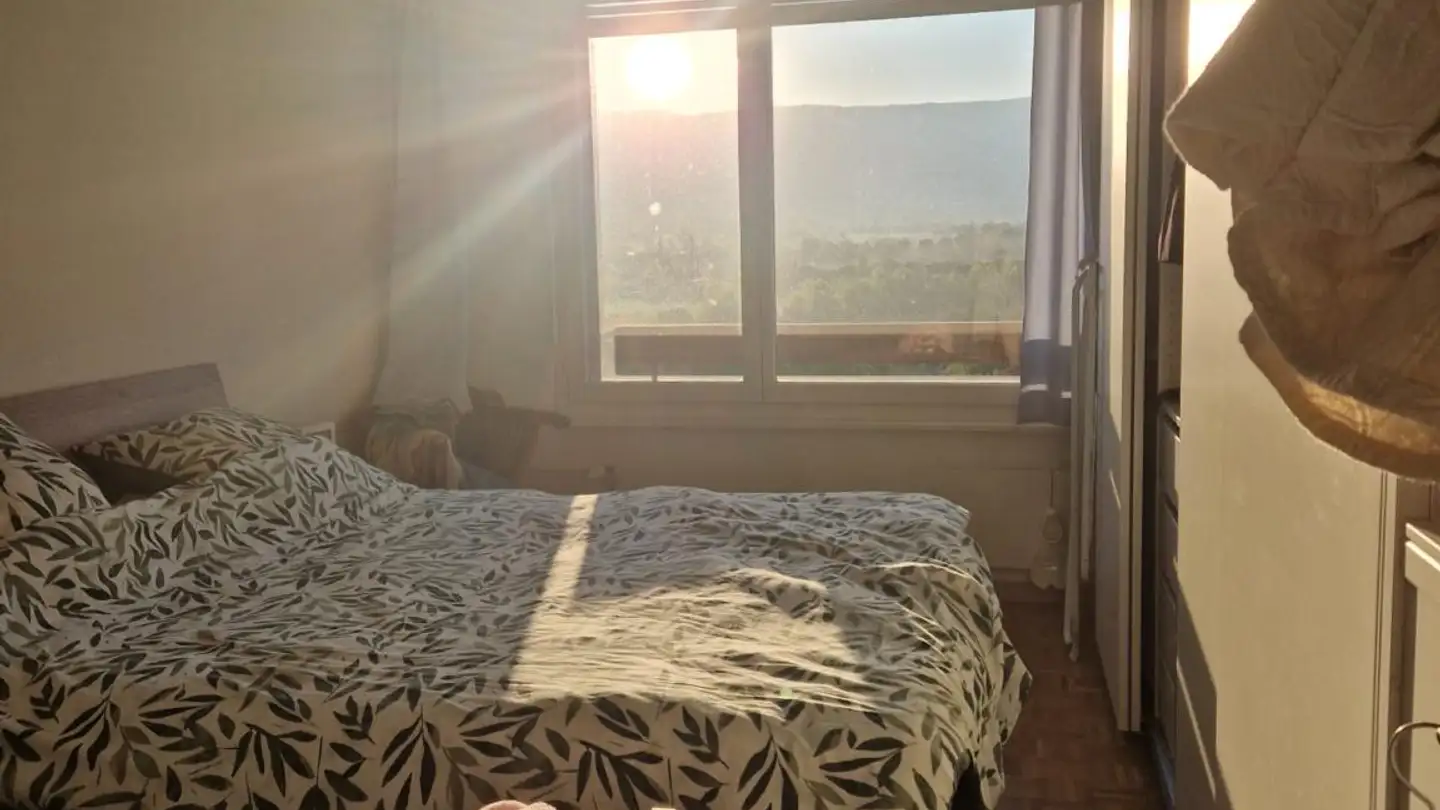 Appartamento in affitto - 1226 Thônex - Foto 4