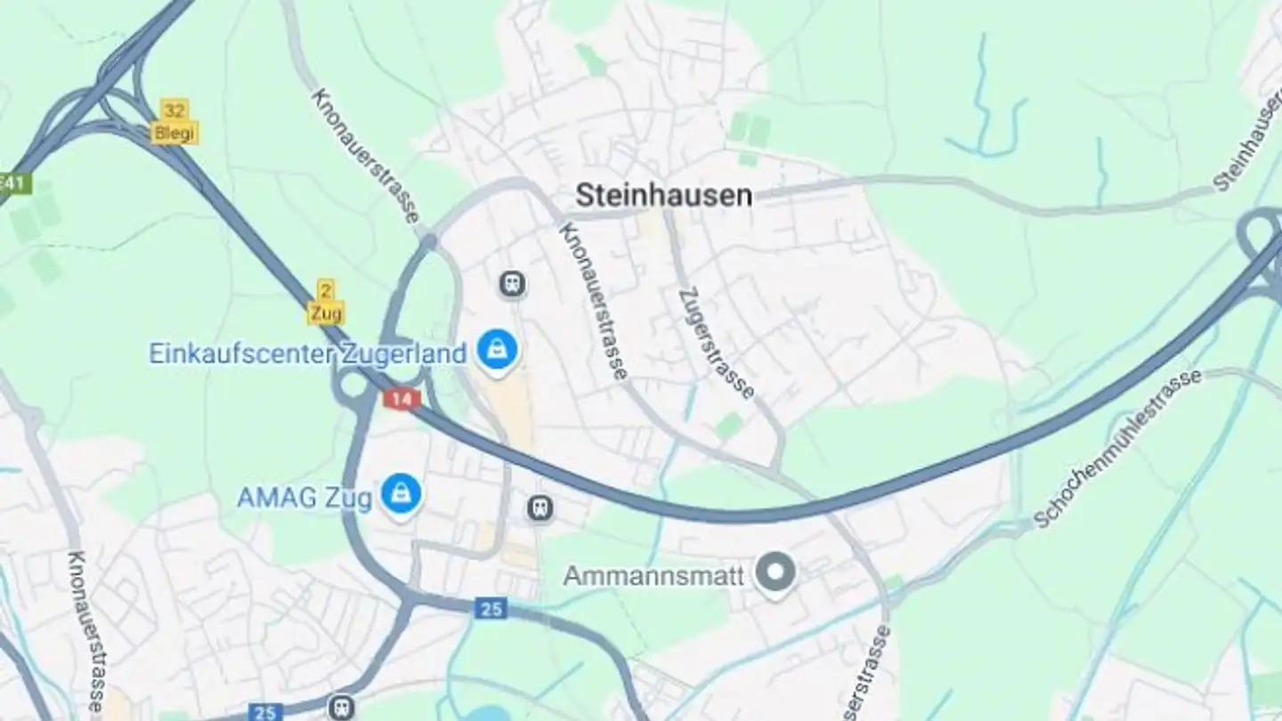 Appartamento in vendita - 6312 Steinhausen