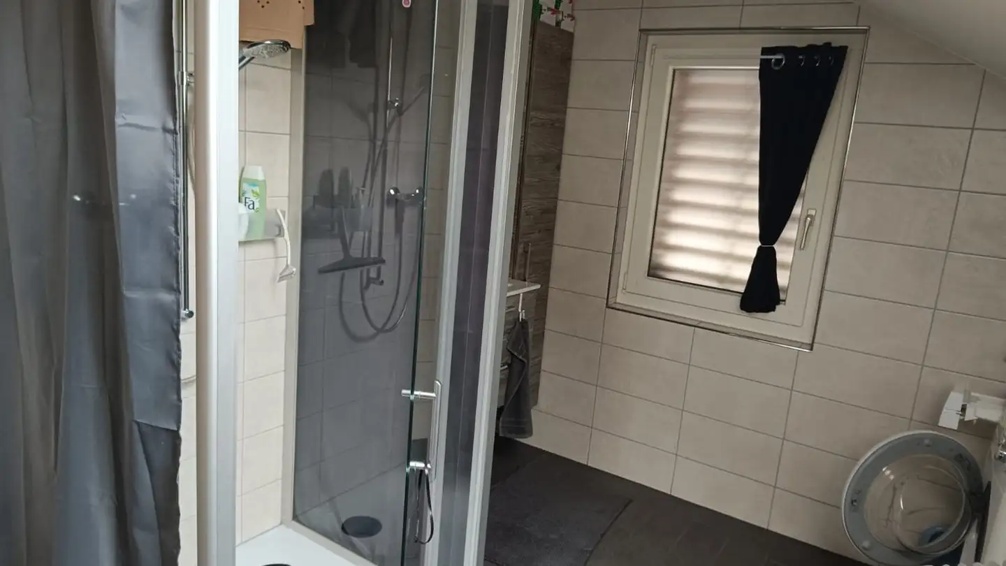 Maison individuelle à vendre - Hagackerstrasse 3, 8427 Freienstein - Photo 4