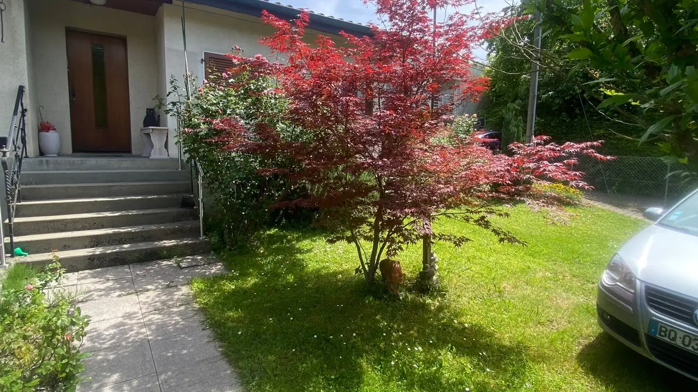 Zimmer mieten - Chemin Dami 3a, 1212 Grand-Lancy