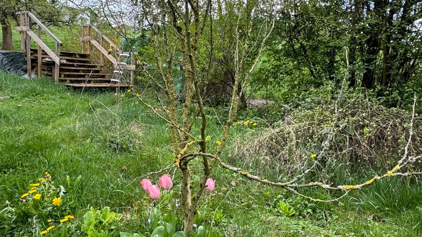 Casa singola in vendita - 1784 Courtepin - Photo 4