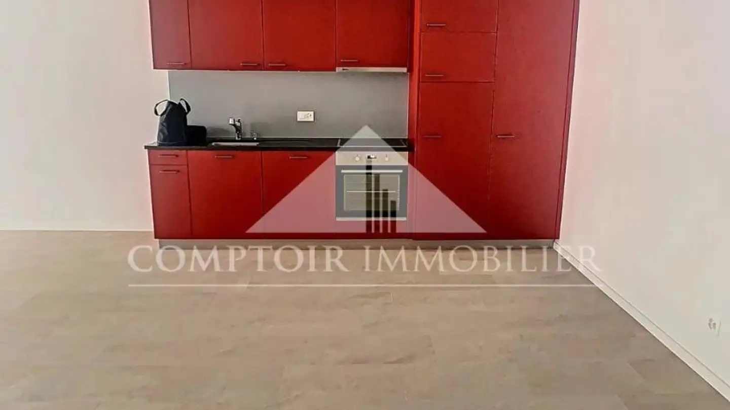 Appartement à louer - Avenue Des Platanes 8, 3960 Sierre - Photo 4