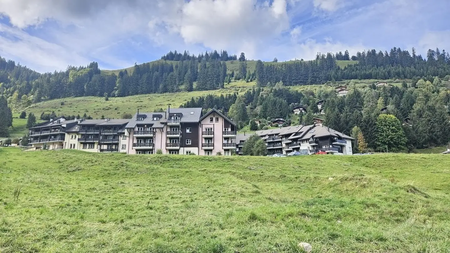 Appartement à louer - Route Du Lézard 29, 1663 Moléson-sur-Gruyères