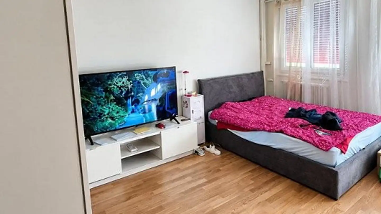Appartamento in affitto - Rue De Montbrillant 52, 1202 Genève - Foto 3