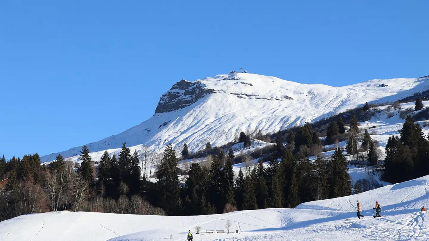 Apartment for sale - Cresta 62, 7134 Obersaxen - Photo 2