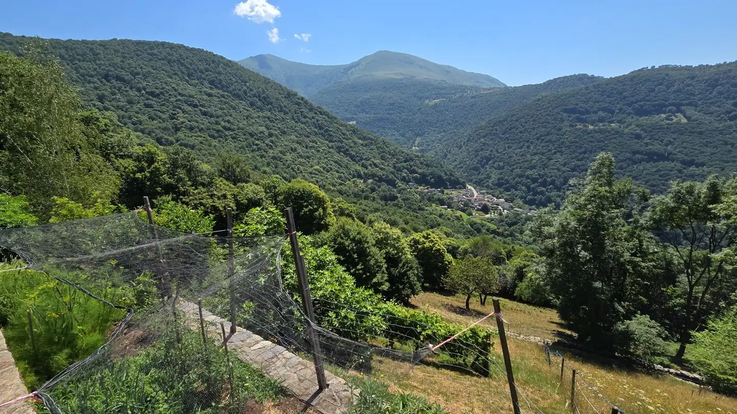 Maison individuelle à vendre - Canedo, 6809 Medeglia - Photo 2