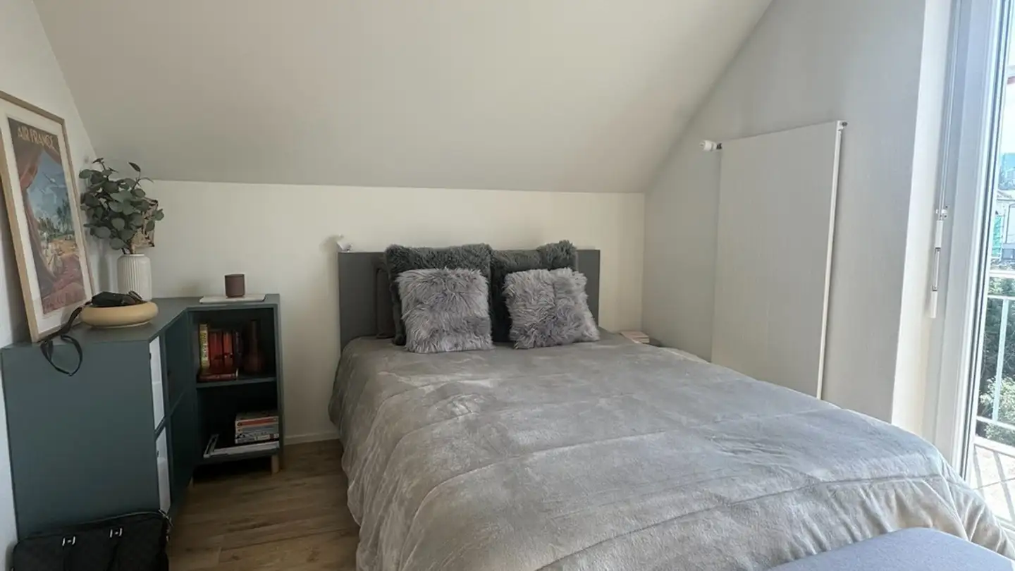 Appartamento in affitto - Alte Landstrasse 116, 8800 Thalwil - Foto 3
