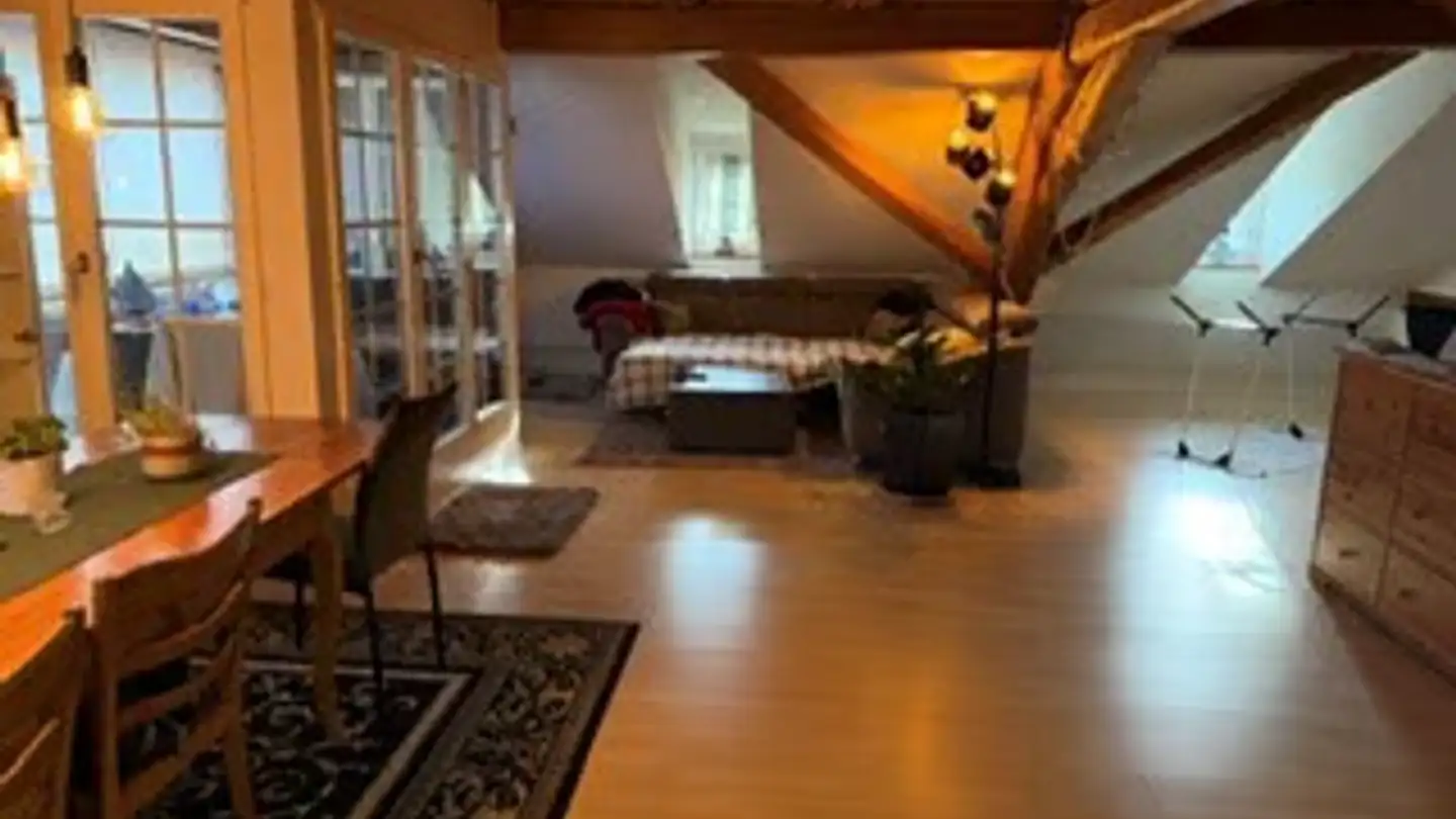 Appartamento in affitto - Irchelstrasse 33a, 8428 Teufen ZH - Foto 2
