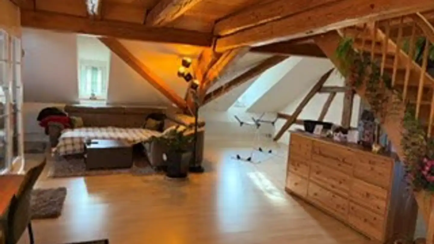Appartamento in affitto - Irchelstrasse 33a, 8428 Teufen ZH - Foto 4