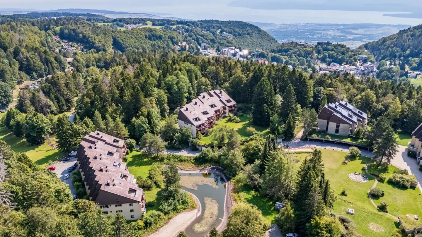 Wohnung kaufen - Route Des Cheseaux-Dessus, 1264 St-Cergue