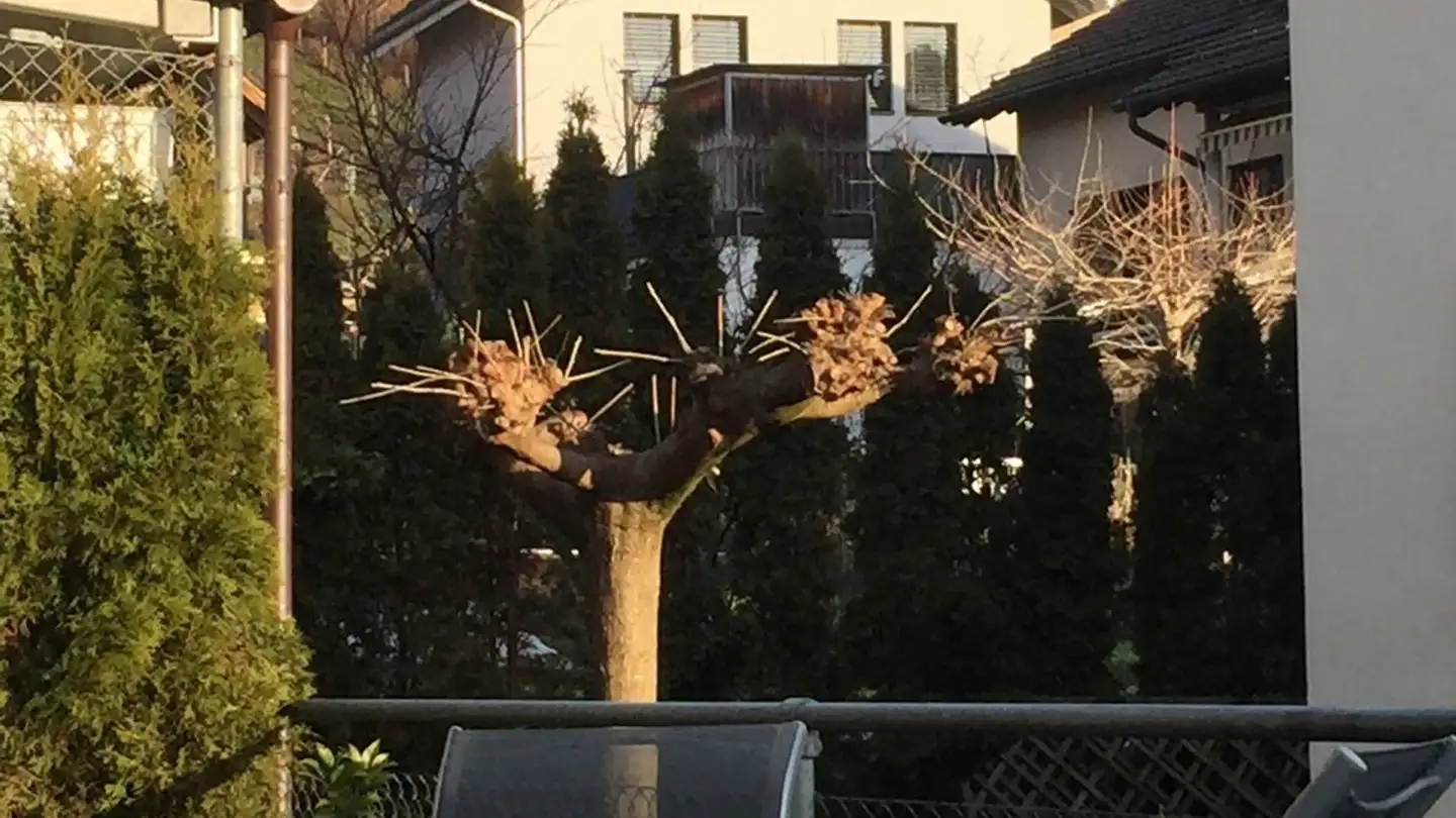 Appartamento in affitto - Kreuzgasse 18, 8716 Schmerikon - Photo 2