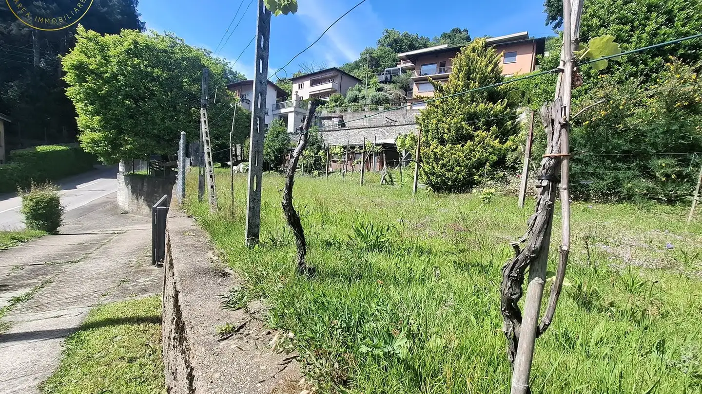 Terreno edificabile in vendita - 6968 Sonvico - Foto 2
