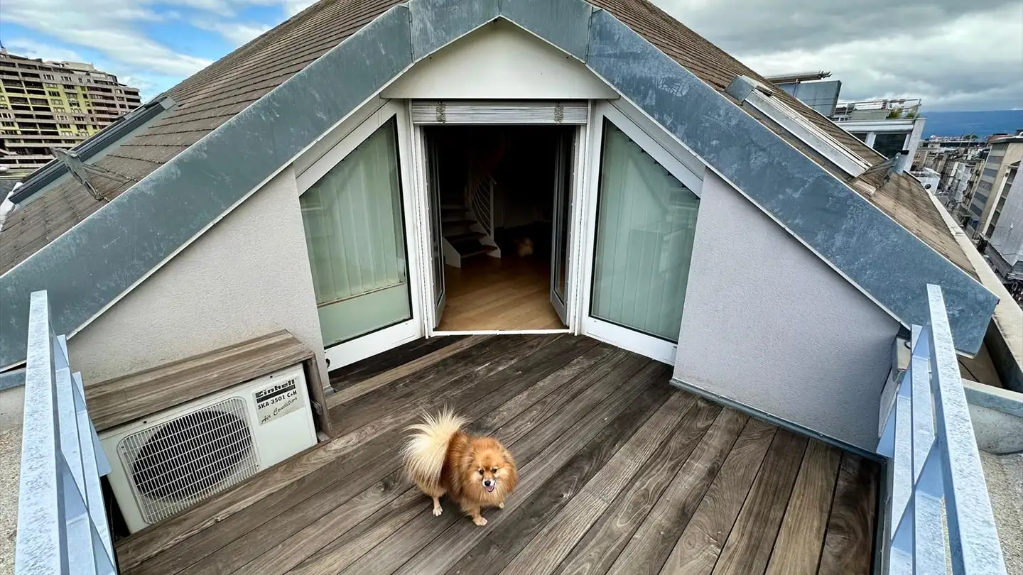 Attico in vendita - Rue Du Tir, 1204 Genève - Foto 2