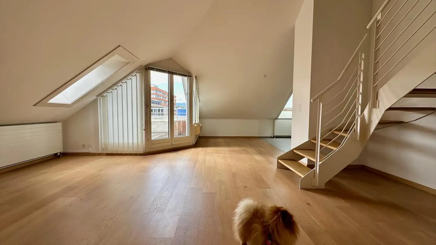 Attico in vendita - Rue Du Tir, 1204 Genève - Foto 4