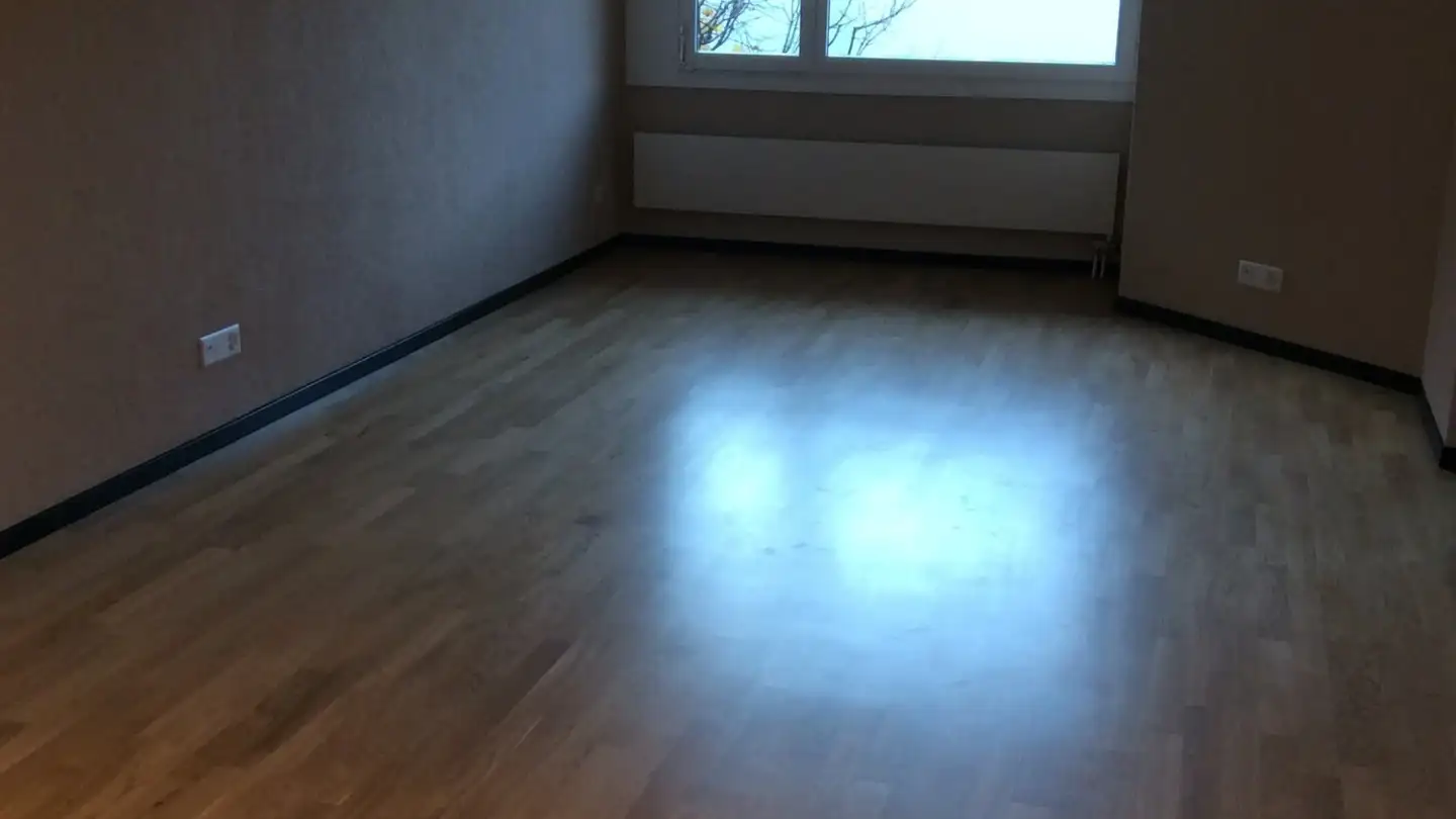 Apartment for rent - Amthausgasse 2, 3860 Meiringen - Photo 3