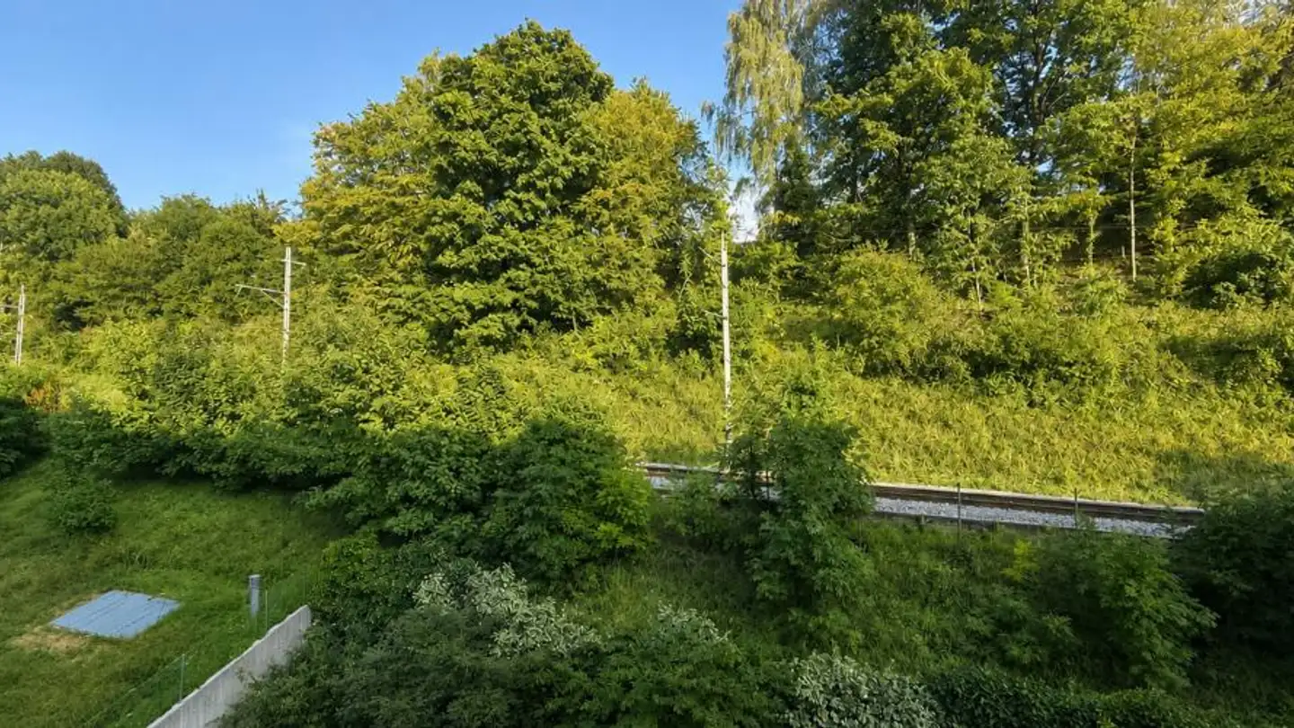 Wohnung kaufen - Avenue de Gilamont 44, 1800 Vevey - Foto 3