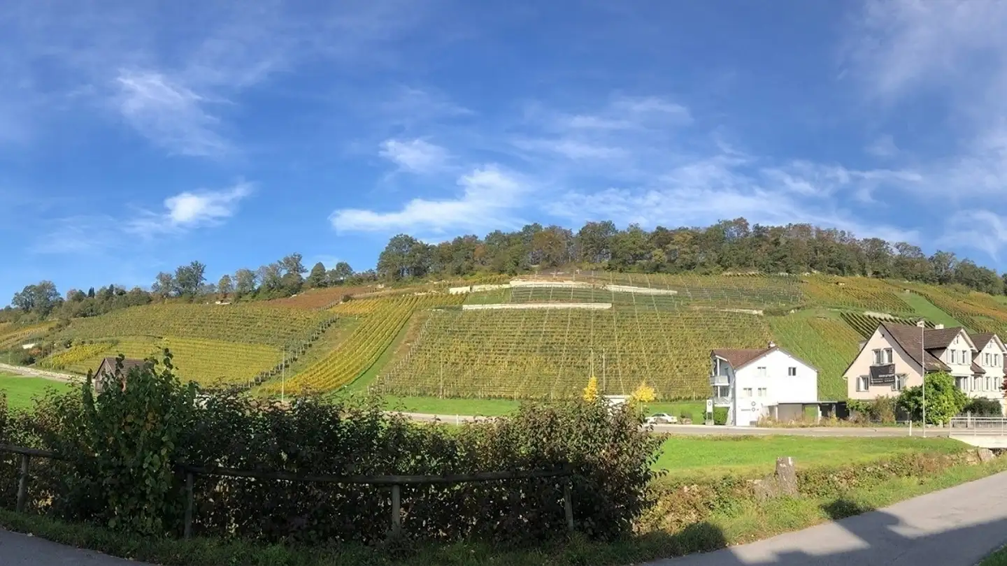 Appartamento in affitto - Höflistrasse 1, 9425 Thal