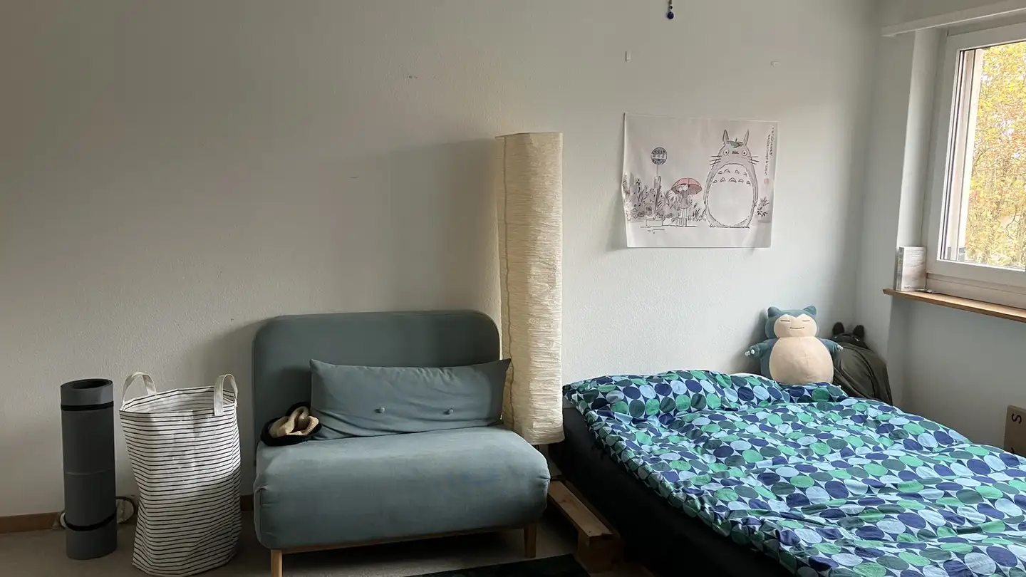 Chambre à louer - 8050 Zürich