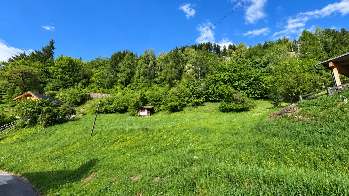 Constructible plot for sale - 1996 Basse-Nendaz - Photo 3