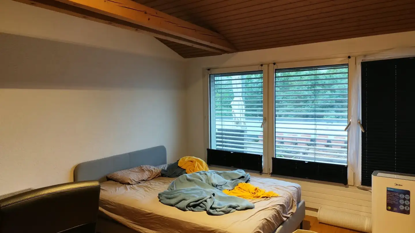 Furnished apartment for rent - Luegislandstrasse 86, 8051 Zürich