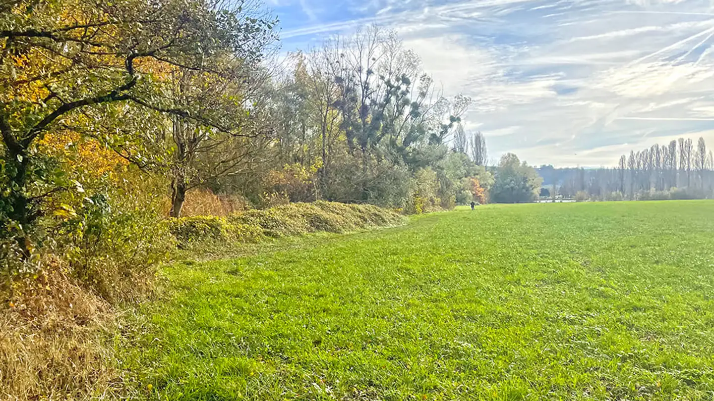 Maisonette kaufen - 1400 Cheseaux-Noréaz - Foto 4