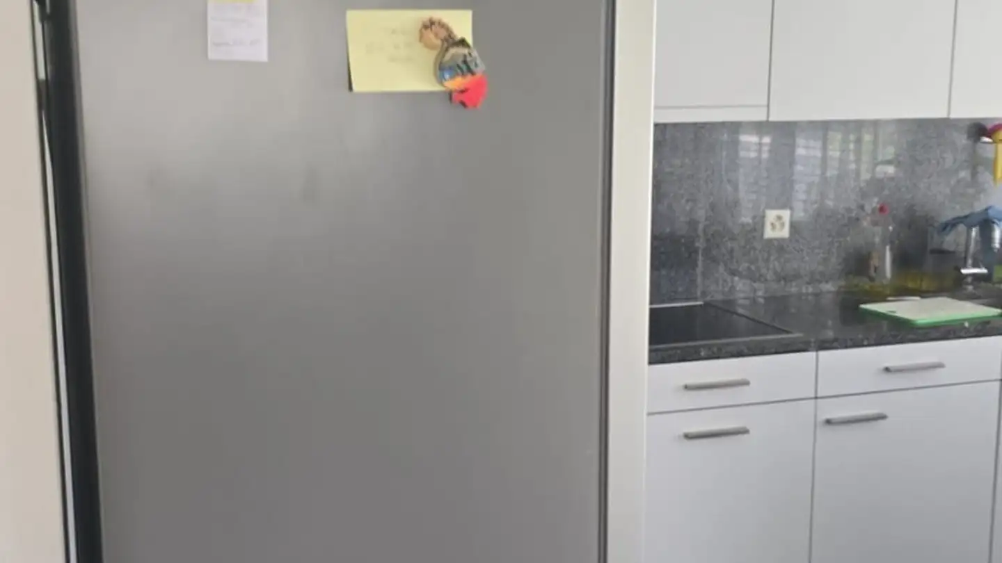 Appartamento in affitto - Rapperswilerstrasse 105, 8630 Rüti ZH - Foto 2