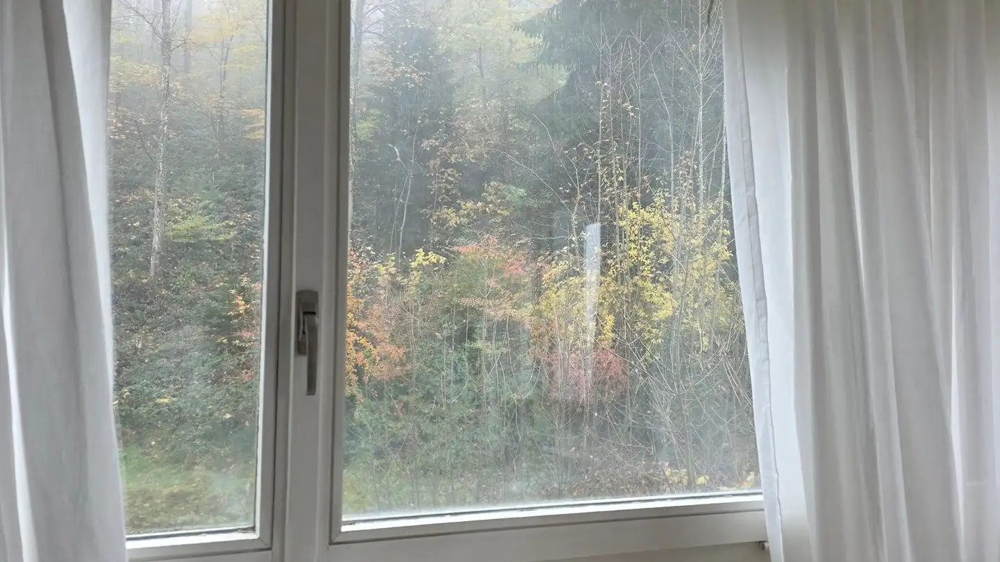 Apartment for rent - Achslenstrasse 15, 9016 St. Gallen - Photo 4