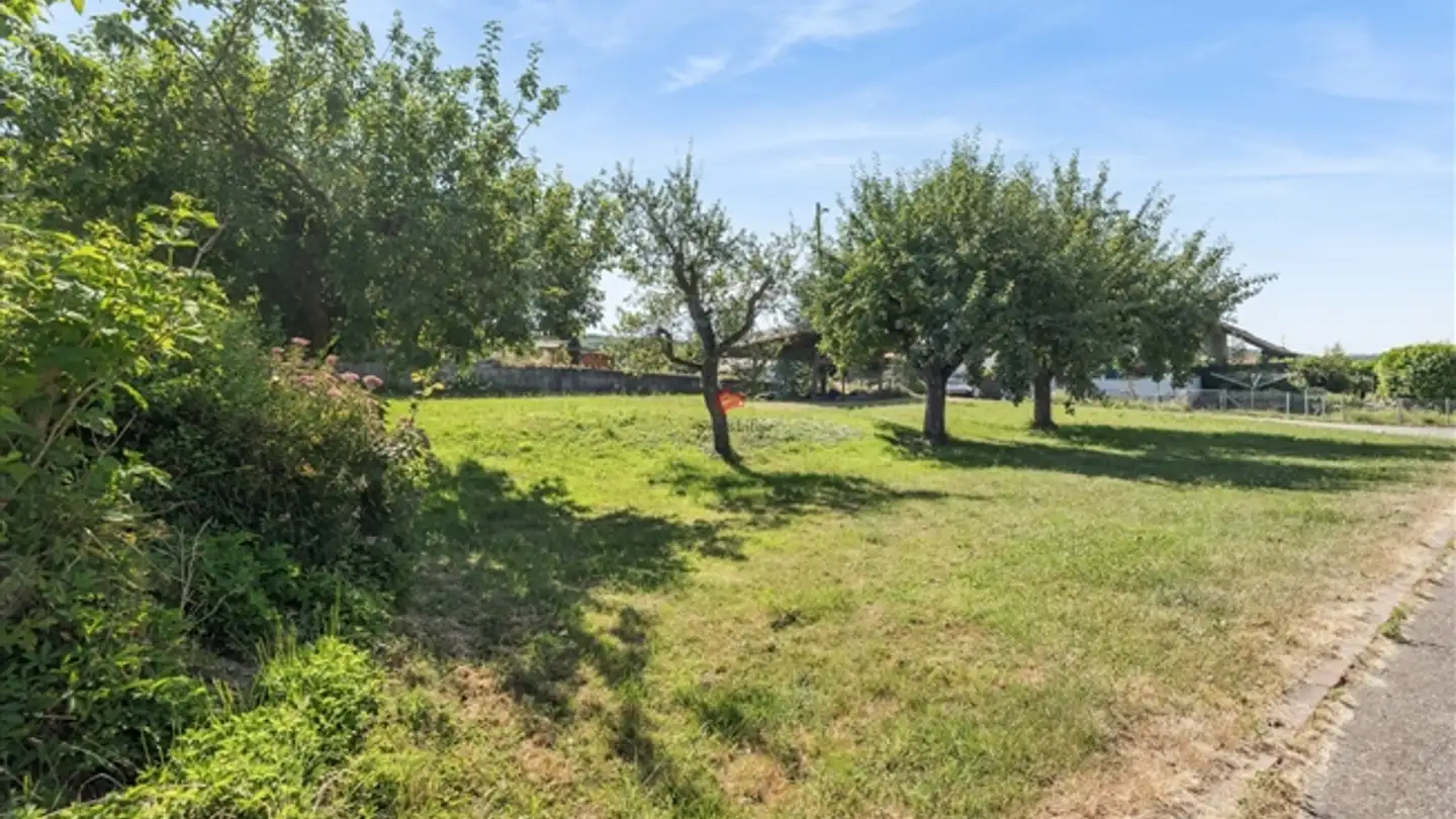 Appartamento in vendita - Baselweg, 4146 Hochwald - Foto 3