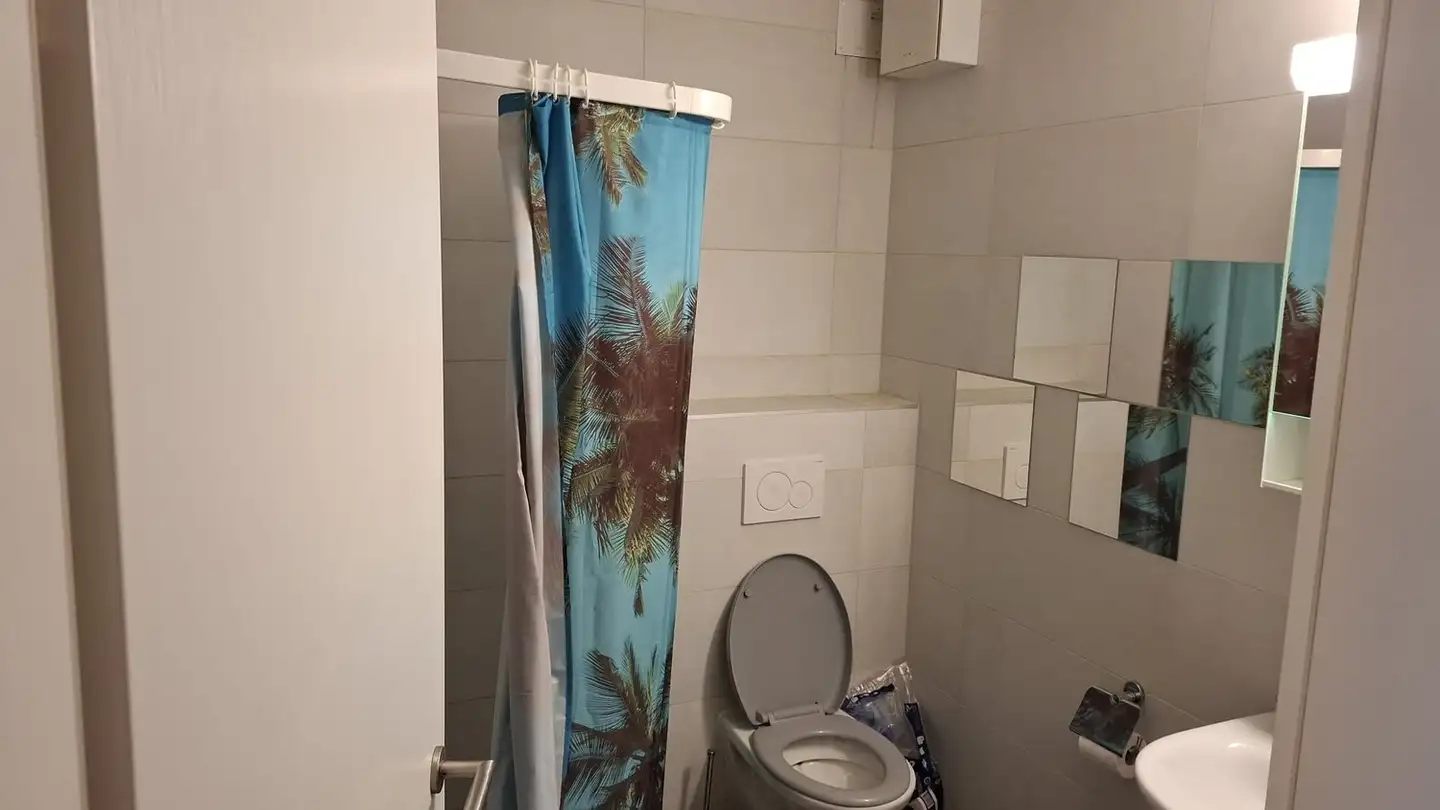 Wohnung mieten - 1117 Grancy