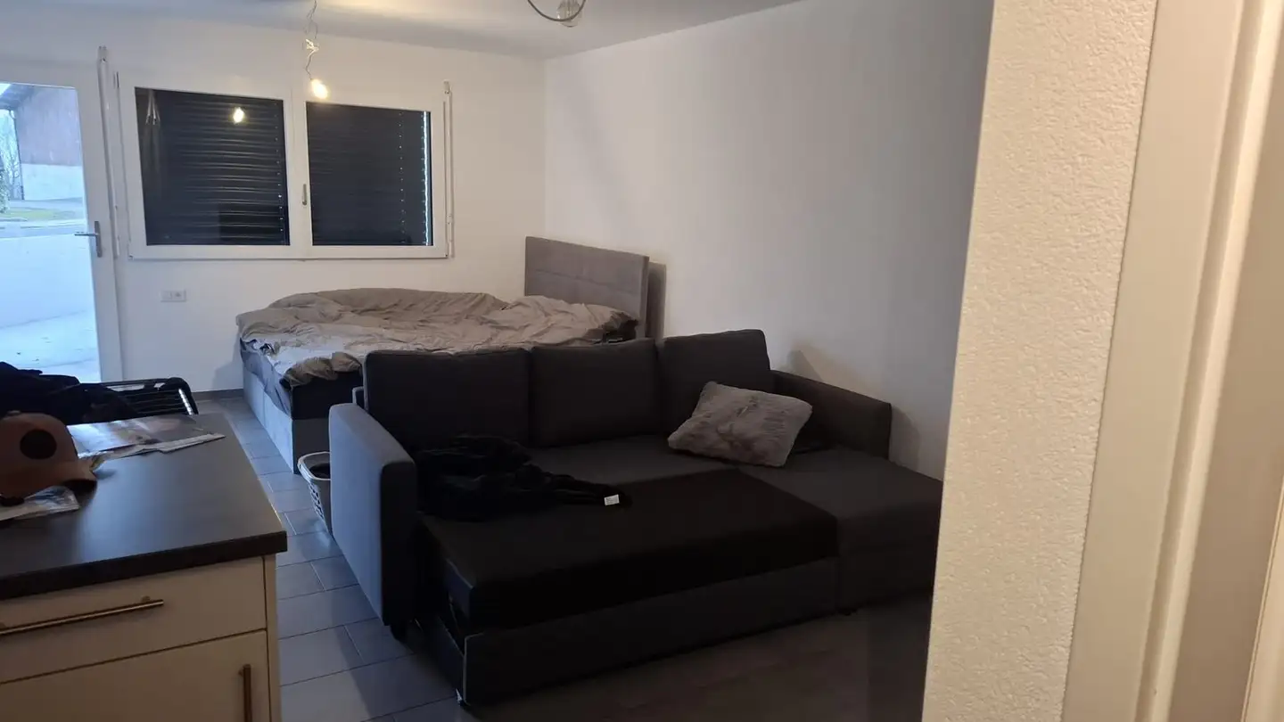 Wohnung mieten - 1117 Grancy - Foto 3