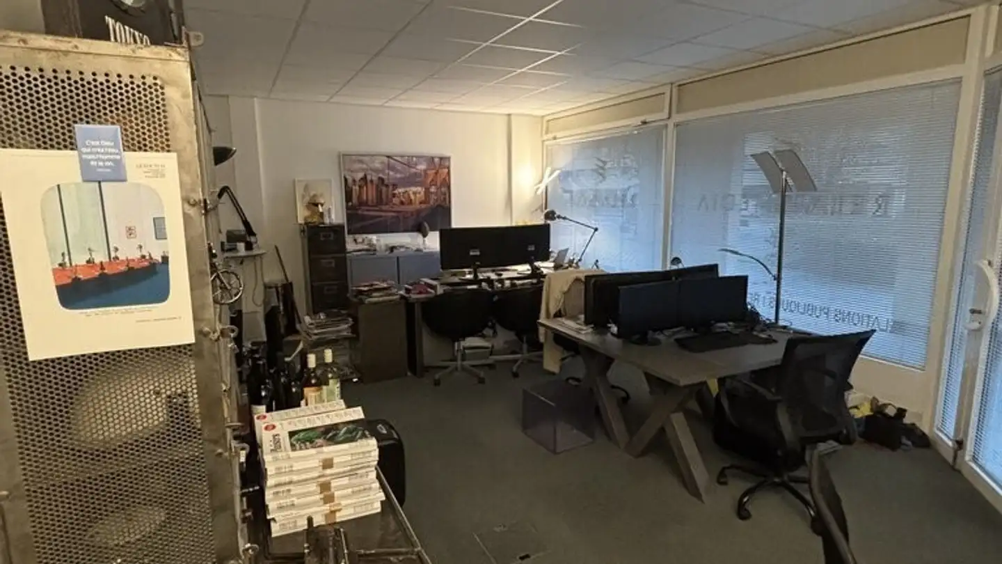 Negozio in affitto - Chemin D'eysins 53, 1260 Nyon - Foto 2