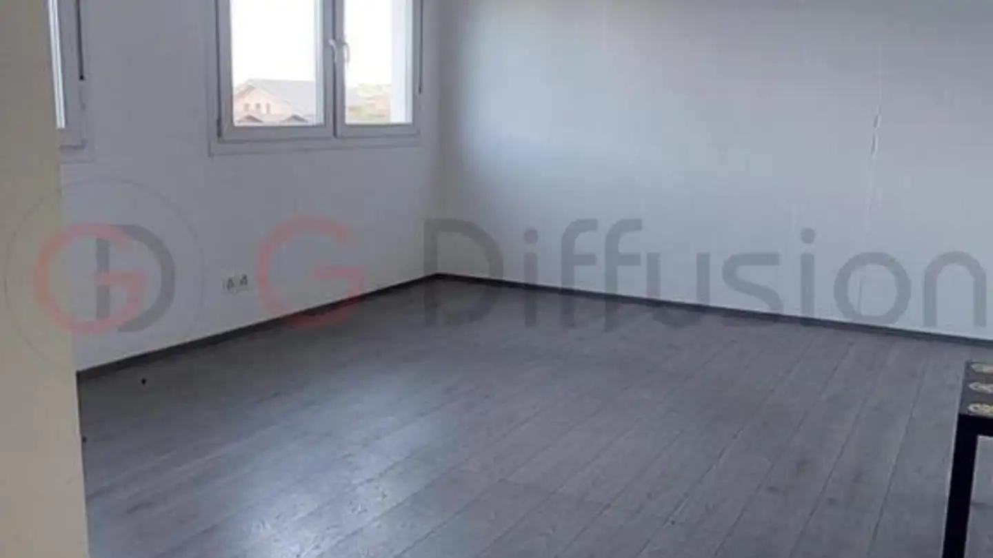 Commercial for sale - 1897 Bouveret - Photo 3