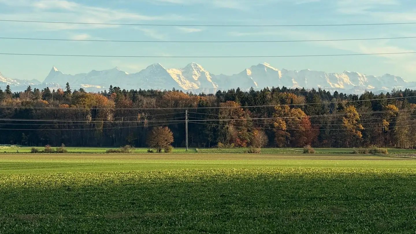 Casa bifamiliare in vendita - Hauptstrasse 77, 4587 Aetingen - Photo 4