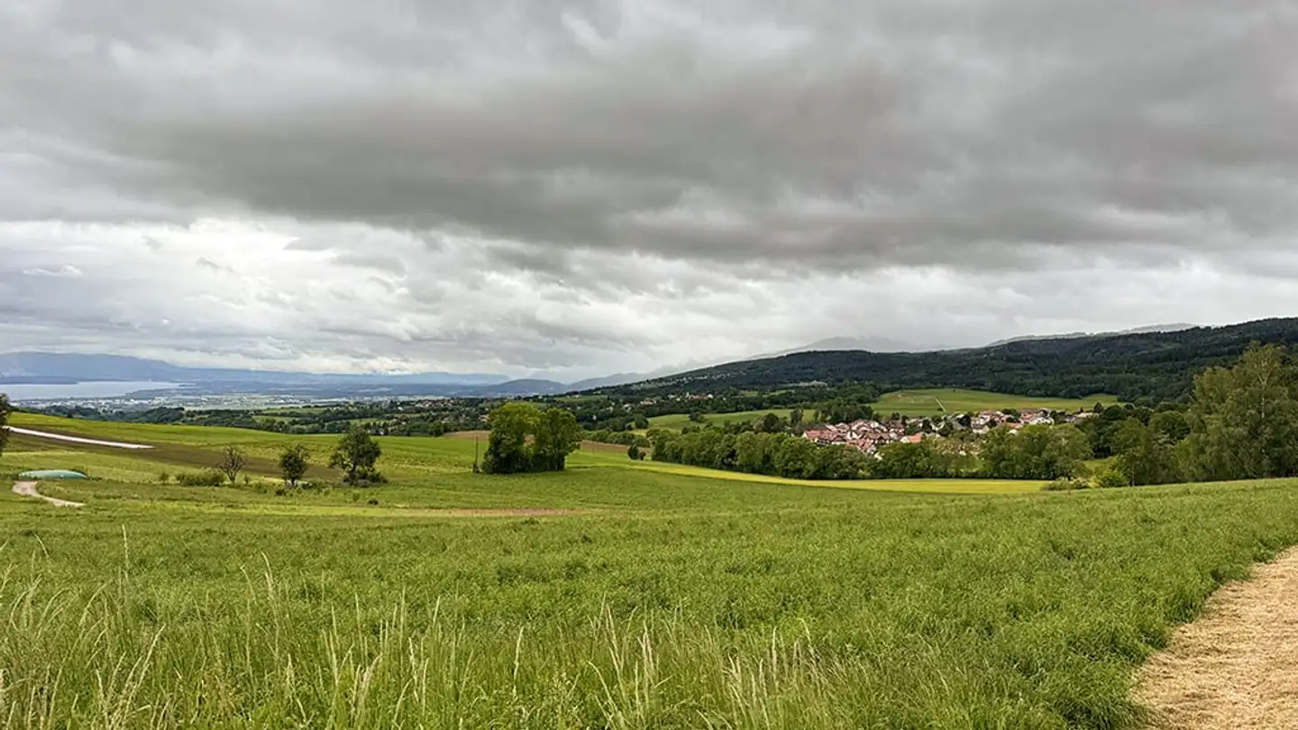 Maison jumelle à vendre - 1261 Longirod