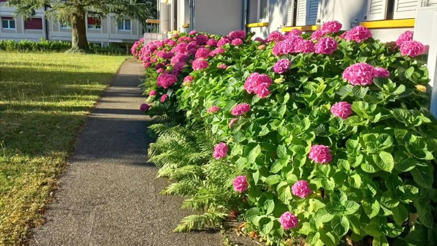 Apartment for rent - Rue Des Couviers 24, 2074 Marin-Epagnier - Photo 4