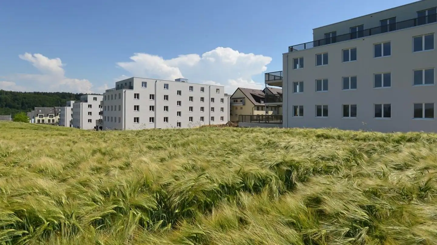 Appartement à louer - Bodelenweg 100, 3172 Niederwangen b. Bern