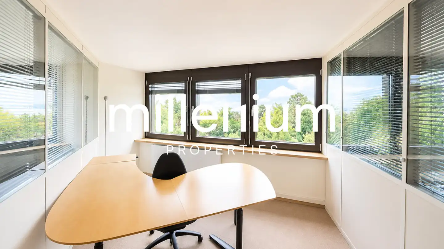 Office space for rent - 1295 Mies - Photo 3