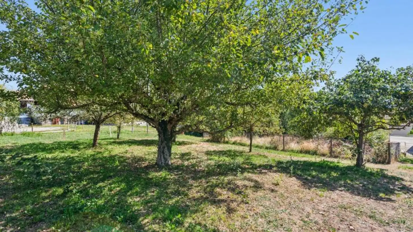 Constructible plot for sale - 1609 Besencens