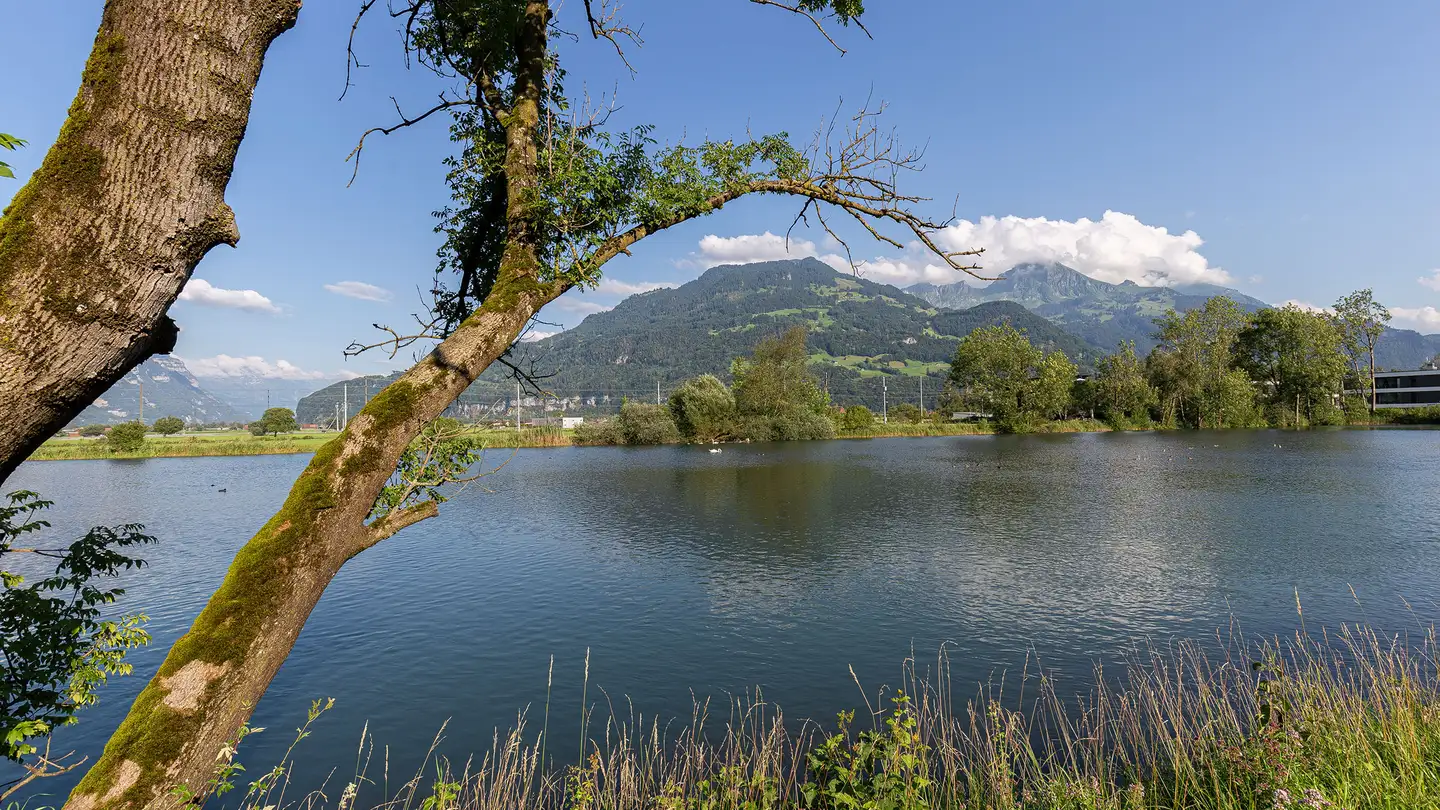 Apartment for rent - Fabrikstrasse 2a, 8867 Niederurnen - Photo 2