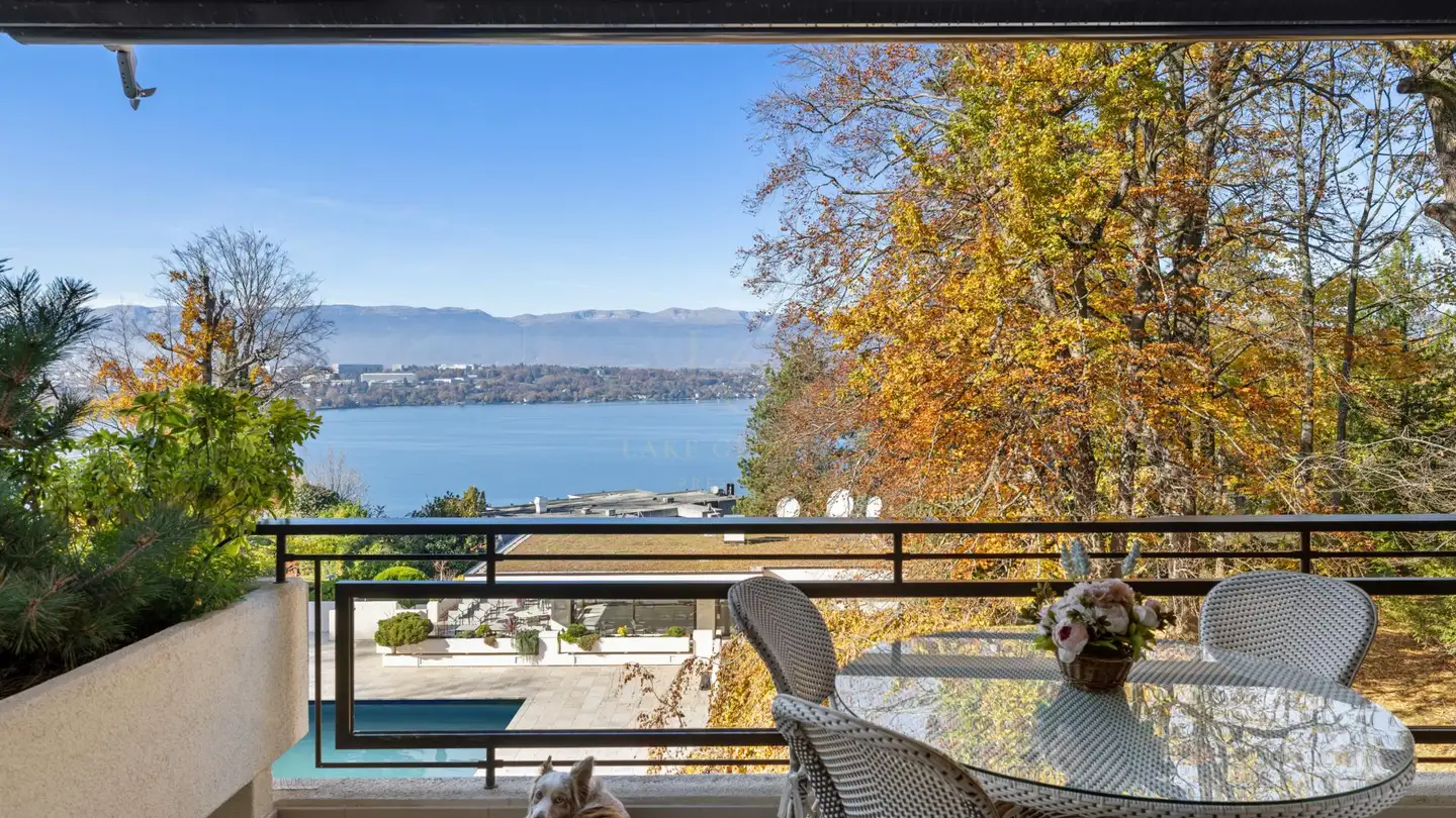 Appartement à vendre - 1223 Cologny - Photo 2