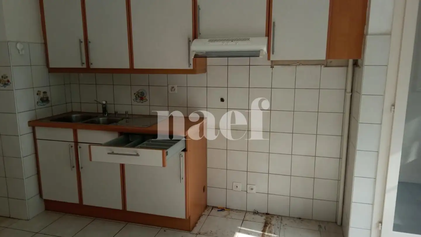 Apartment for rent - Chemin Nicolas- Bogueret 4, 1219 Aïre